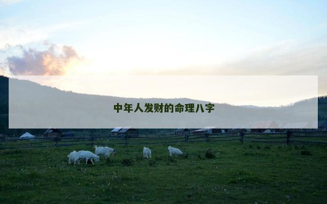 中年人发财的命理八字
