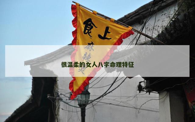 很温柔的女人八字命理特征