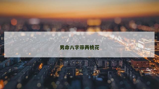 男命八字带两桃花