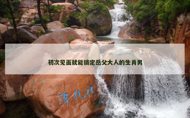 初次见面就能搞定岳父大人的生肖男
