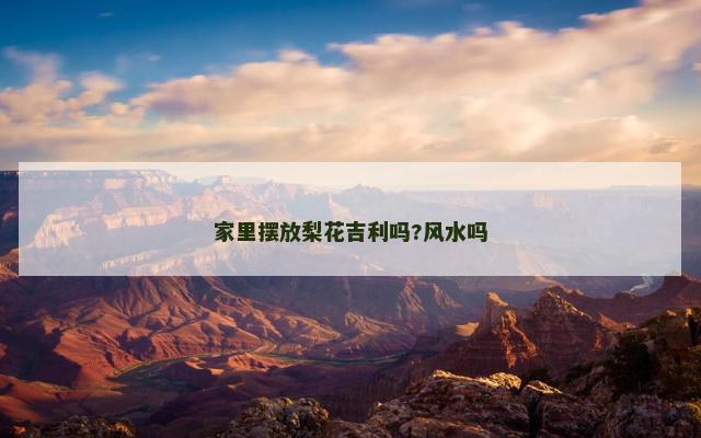 家里摆放梨花吉利吗?风水吗