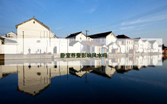 卧室养蚕影响风水吗