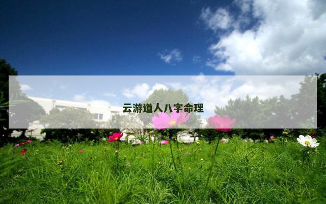 云游道人八字命理