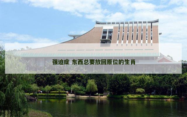 强迫症 东西总要放回原位的生肖