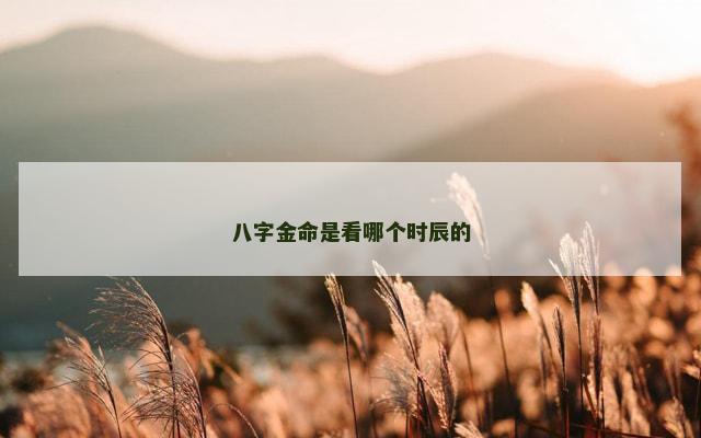八字金命是看哪个时辰的