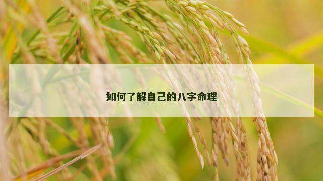 如何了解自己的八字命理
