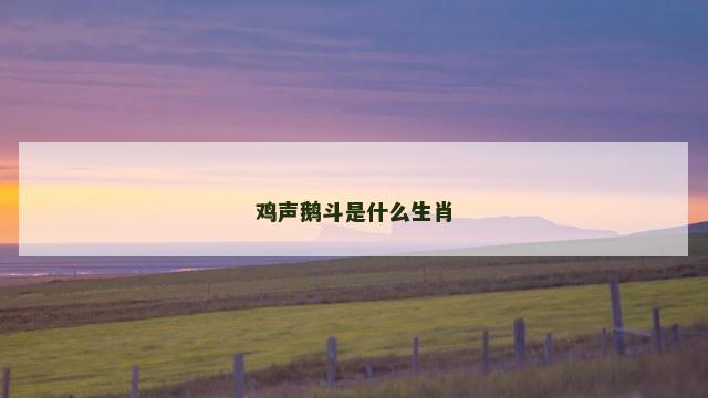 鸡声鹅斗是什么生肖