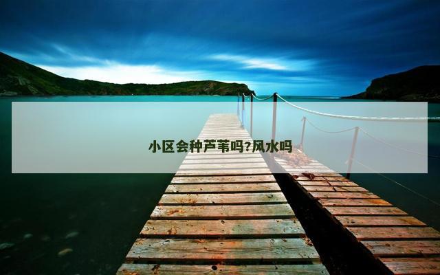 小区会种芦苇吗?风水吗