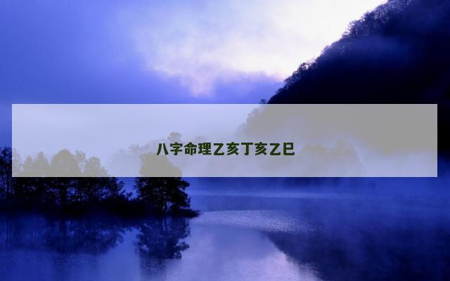 八字命理乙亥丁亥乙巳