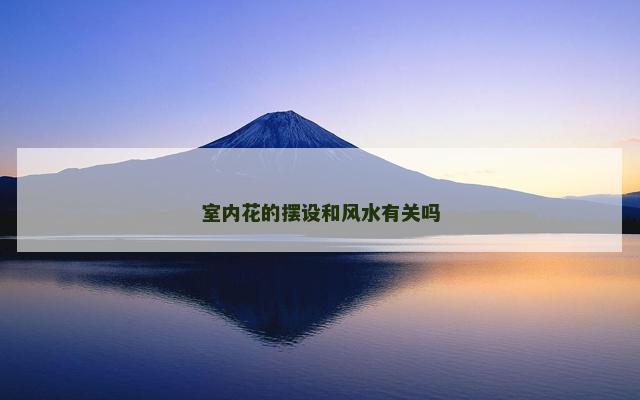室内花的摆设和风水有关吗