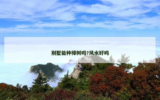 别墅能种樟树吗?风水好吗