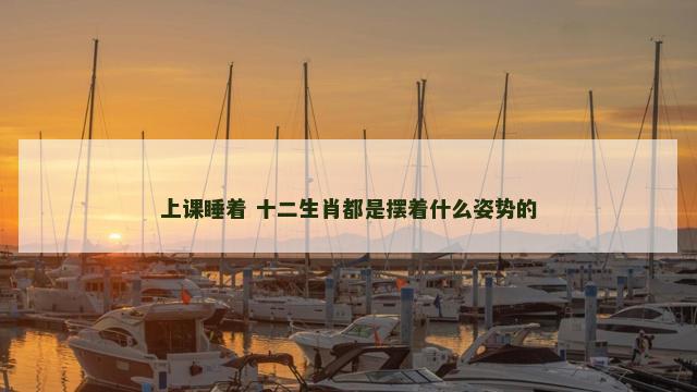 上课睡着 十二生肖都是摆着什么姿势的