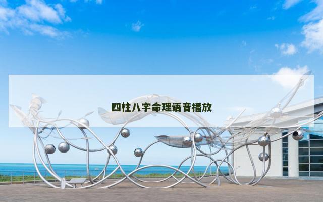 四柱八字命理语音播放
