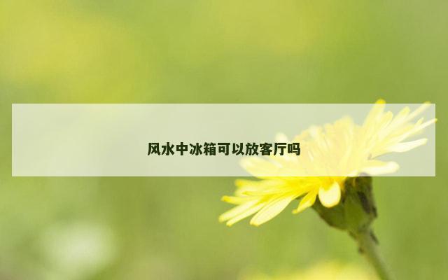 风水中冰箱可以放客厅吗