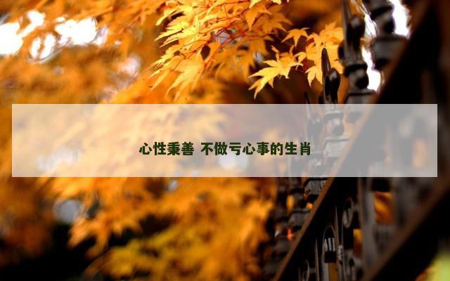 心性秉善 不做亏心事的生肖