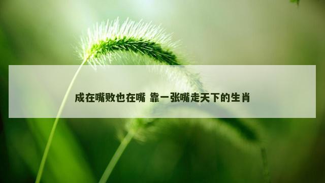 成在嘴败也在嘴 靠一张嘴走天下的生肖