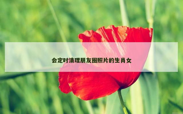 会定时清理朋友圈照片的生肖女