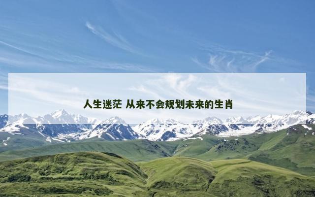 人生迷茫 从来不会规划未来的生肖