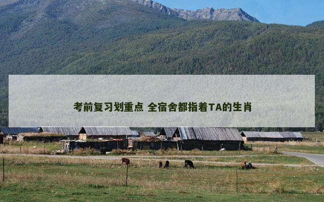 考前复习划重点 全宿舍都指着TA的生肖