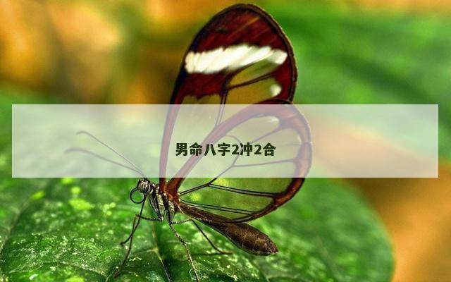 男命八字2冲2合