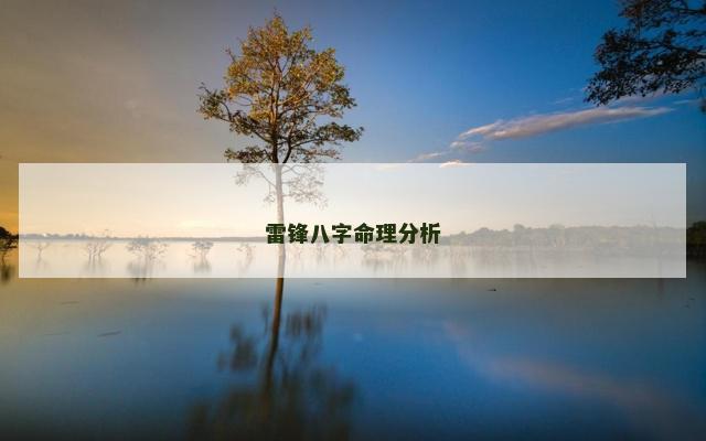 雷锋八字命理分析