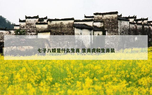 七子八婿是什么生肖 生肖虎和生肖鼠