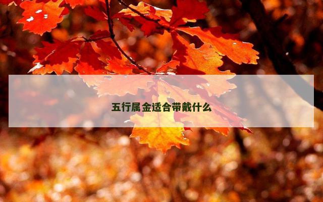 五行属金适合带戴什么