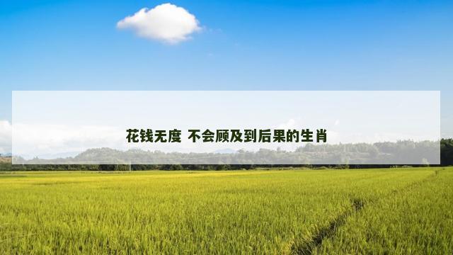 花钱无度 不会顾及到后果的生肖