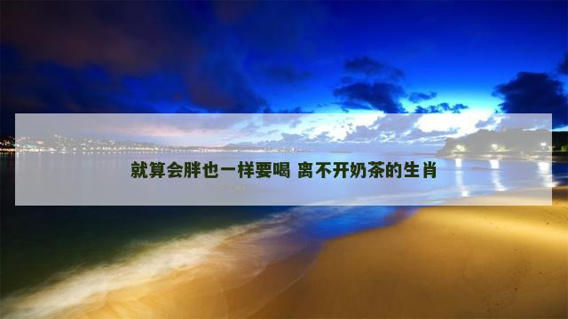 就算会胖也一样要喝 离不开奶茶的生肖