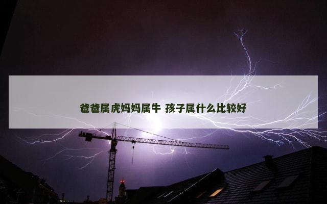 爸爸属虎妈妈属牛 孩子属什么比较好