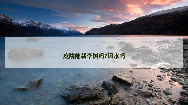 庭院能栽李树吗?风水吗