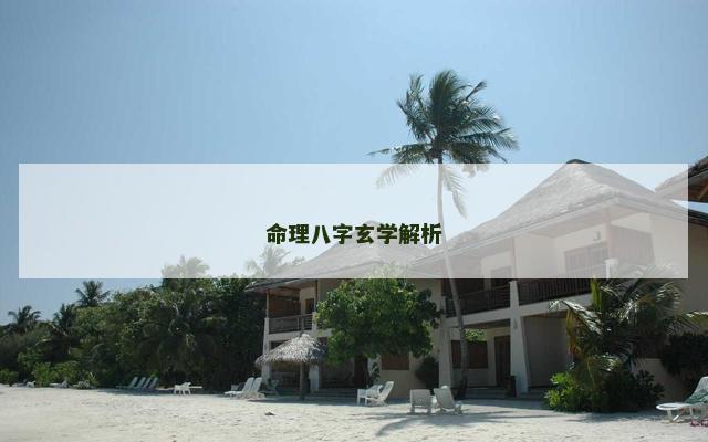 命理八字玄学解析