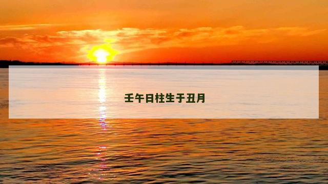 壬午日柱生于丑月