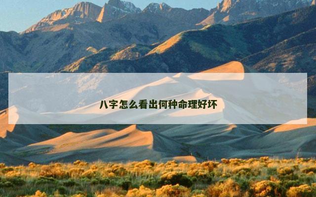 八字怎么看出何种命理好坏