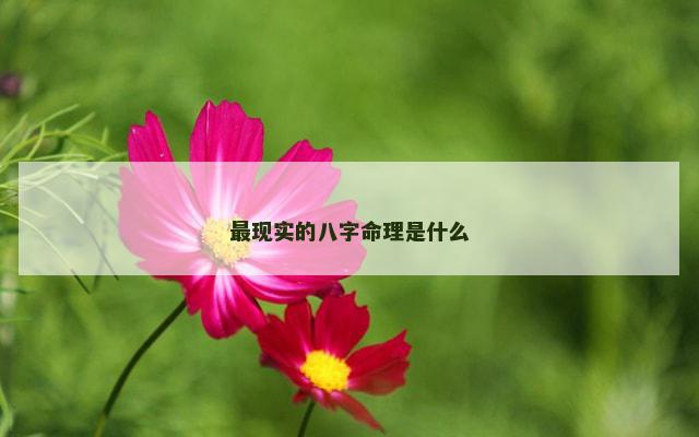 最现实的八字命理是什么