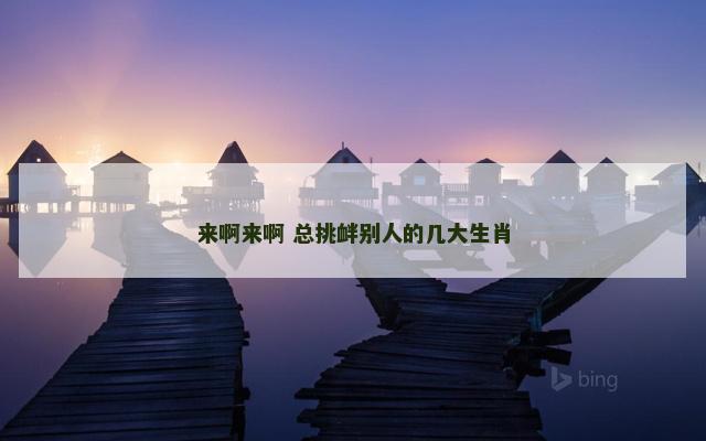 来啊来啊 总挑衅别人的几大生肖