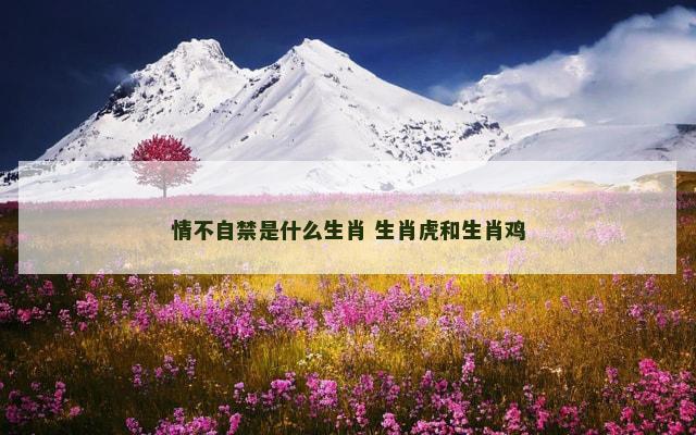 情不自禁是什么生肖 生肖虎和生肖鸡