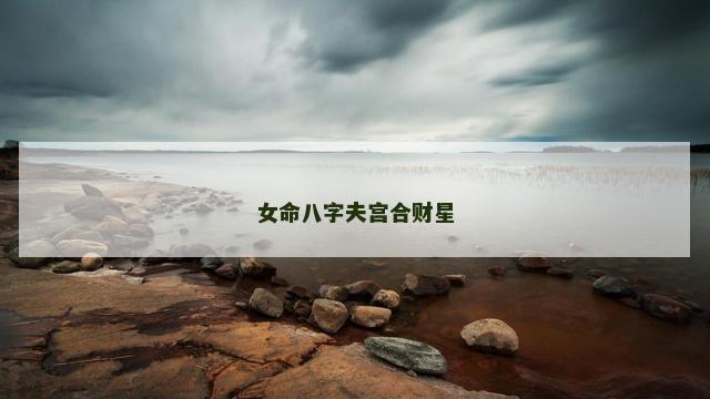 女命八字夫宫合财星
