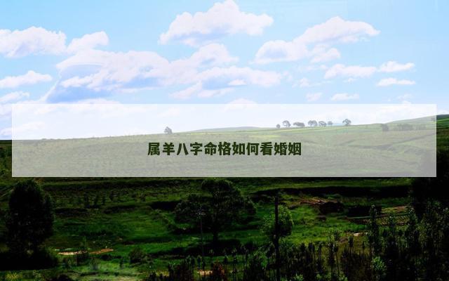 属羊八字命格如何看婚姻