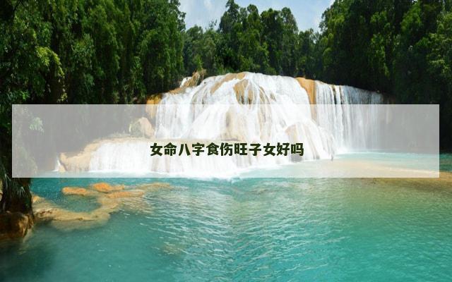 女命八字食伤旺子女好吗