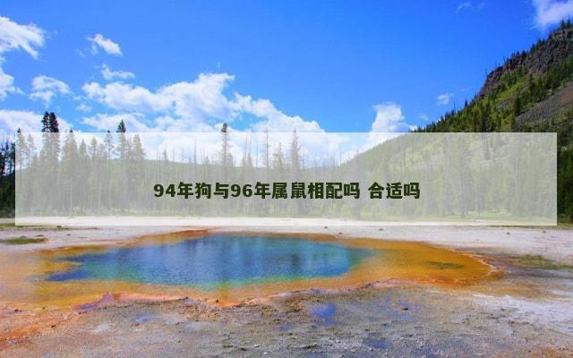 94年狗与96年属鼠相配吗 合适吗