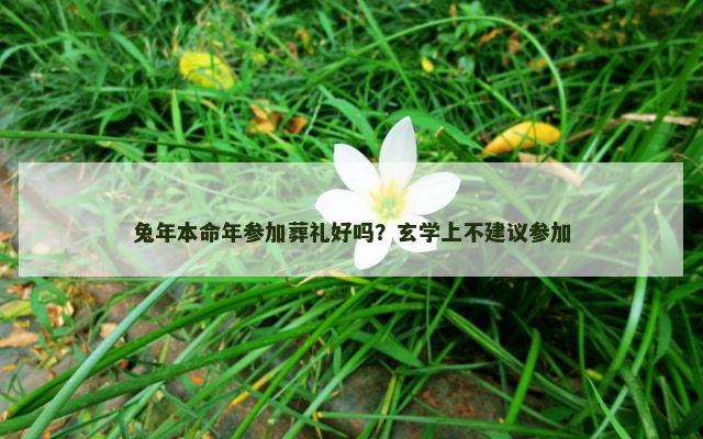 兔年本命年参加葬礼好吗？玄学上不建议参加