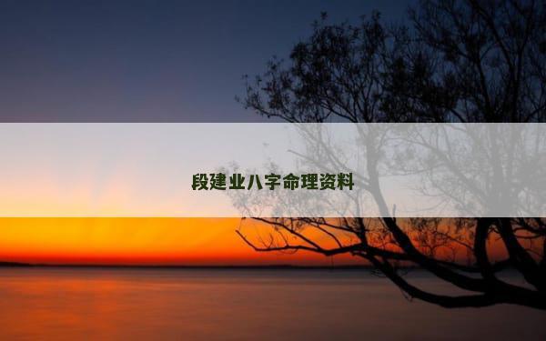段建业八字命理资料