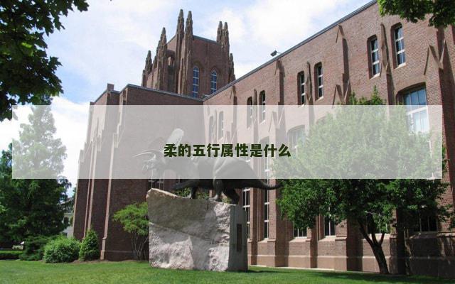 柔的五行属性是什么