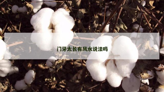 门牙太长有风水说法吗