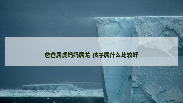 爸爸属虎妈妈属龙 孩子属什么比较好