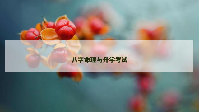 八字命理与升学考试