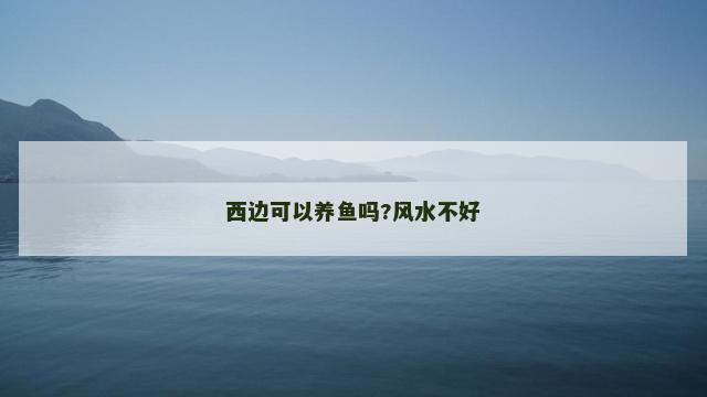 西边可以养鱼吗?风水不好