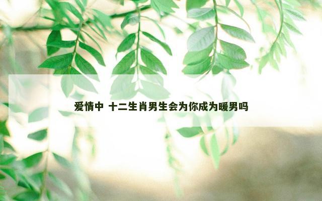 爱情中 十二生肖男生会为你成为暖男吗