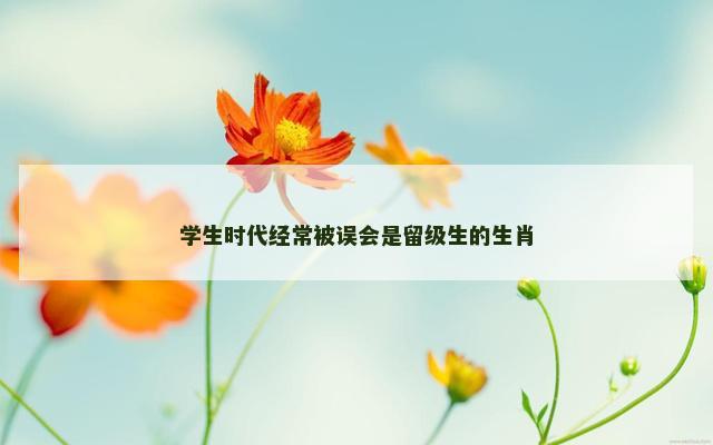 学生时代经常被误会是留级生的生肖